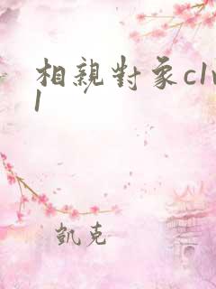 相亲对象c1v1