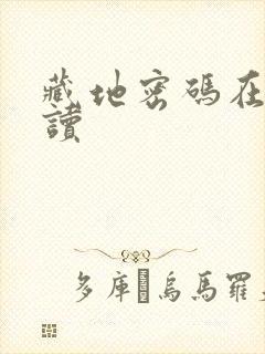 藏地密码在线阅读