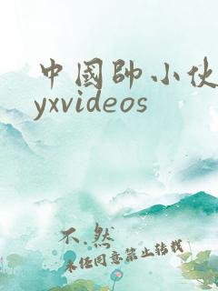 中国帅小伙gayxvideos