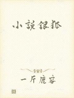 小说银狐