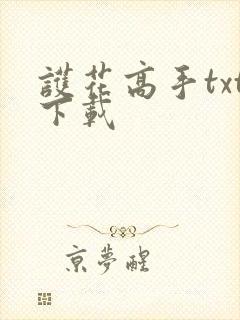 护花高手txt下载