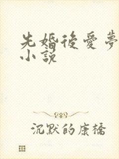 先婚后爱梦筱二小说