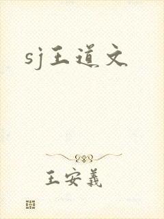 sj王道文