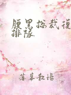 腹黑总裁复婚请排队