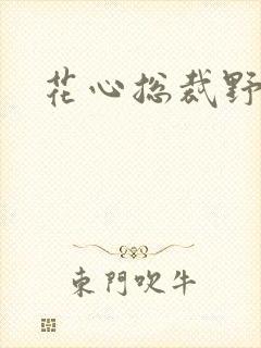 花心总裁野蛮妻