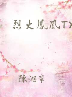 烈火凤凰TXT