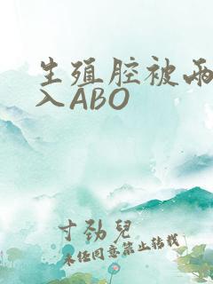 生殖腔被两根进入ABO
