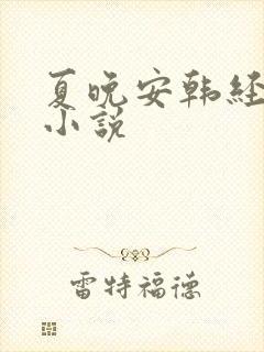 夏晚安韩经年的小说