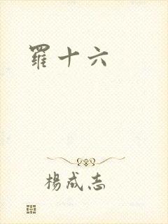 罗十六