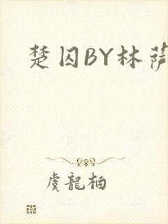 楚囚BY林萨