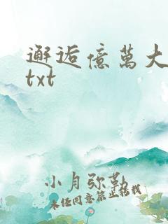 邂逅亿万大人物txt