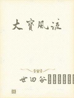 大宝风流