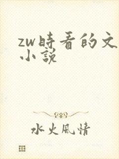 zw时看的文案小说