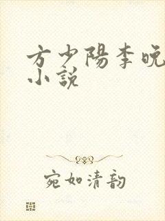 方少阳李晚晴的小说