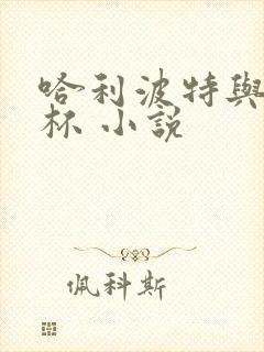 哈利波特与火焰杯 小说