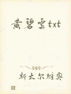 黄碧云txt