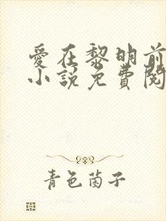 爱在黎明前降落小说免费阅读