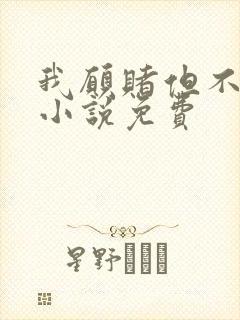 我愿赌但不服输小说免费