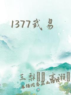 1377武易