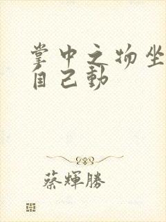 掌中之物坐上来自己动