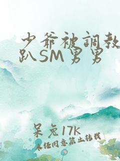 少爷被调教室跪趴SM男男