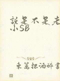 说是不是老公的小SB