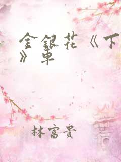 金银花《下厨房》车