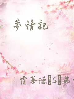 梦情记