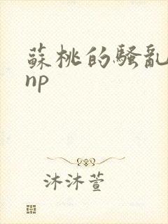 苏桃的骚乱文肉np