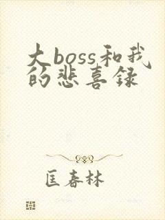 大boss和我的悲喜录