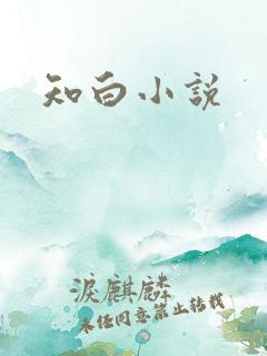 知白小说