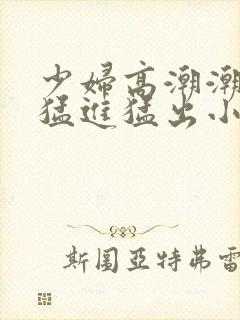 少妇高潮潮喷到猛进猛出小说