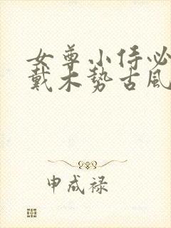 女尊小侍必须佩戴木势古风