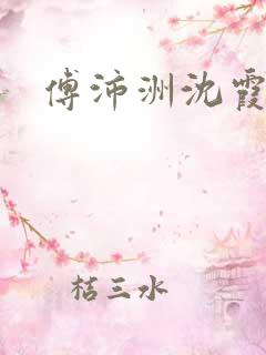 傅沛洲沈霞小说