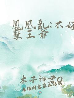 凤凰乱:不嫁妖孽王爷