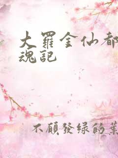 大罗金仙都市销魂记