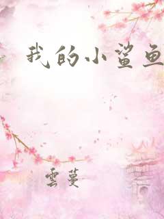 我的小鲨鱼