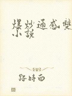 爆炒通感双胞胎小说