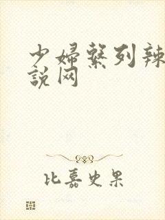 少妇系列辣文小说网