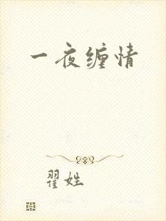 一夜缠情