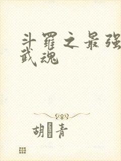 斗罗之最强治疗武魂