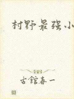 村野最强小农民