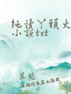 纯情丫头火辣辣小说txt
