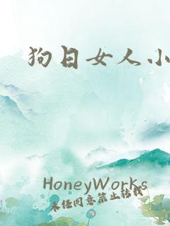 狗日女人小说