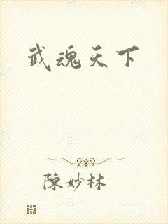 武魂天下