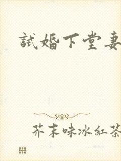 试婚下堂妻