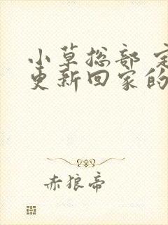 小草总部 定期更新回家的路