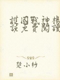 护国战神杨风小说免费阅读