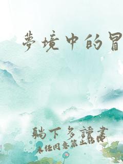 梦境中的冒险家