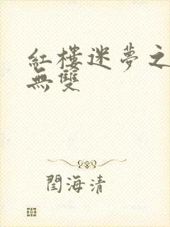 红楼迷梦之国士无双